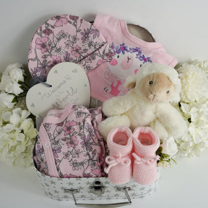 Pink Baby Girl Gift Hamper, Baby Girl Outfit, Heart Nursery Decoration, Pink Booties, Eco Friendly Lamb Cuddly Plush Toy, Baby Keepsake Box