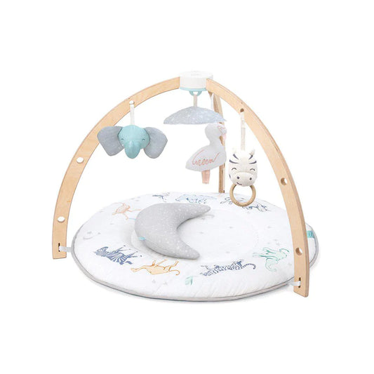 Activity play gym with animal design