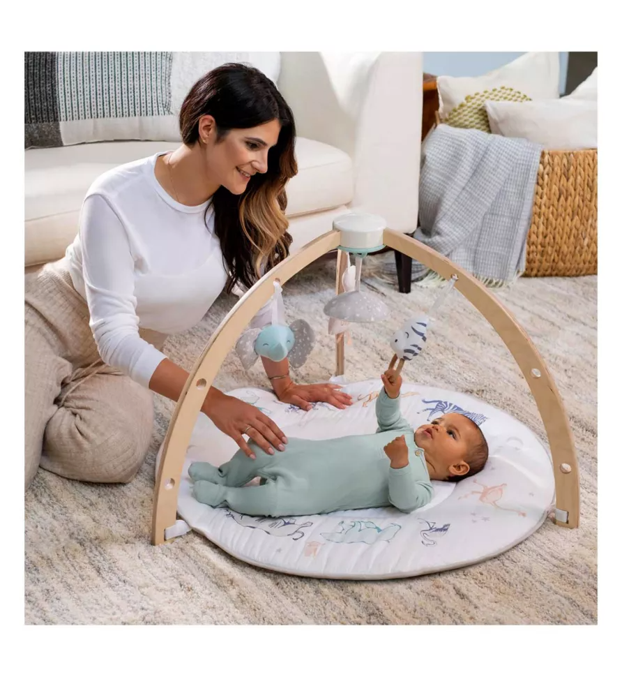 Aden & Anais Baby Discover Activity Gym in Rising Star, Baby Shower Present, New Baby Sensory Toy Gift